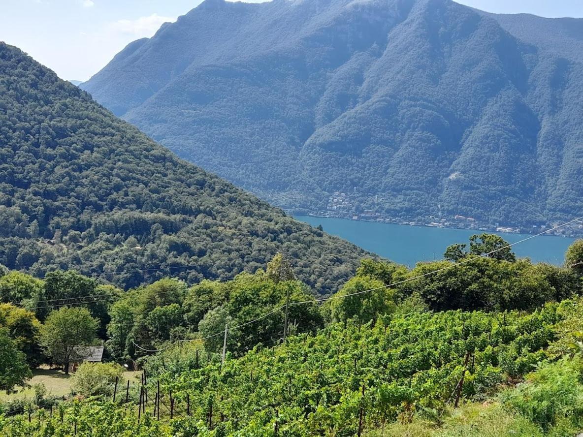Cascina Teresina Agroturismo