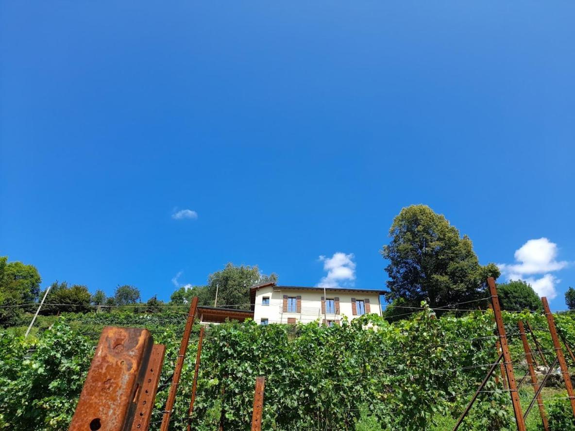 Agroturismo Cascina Teresina *