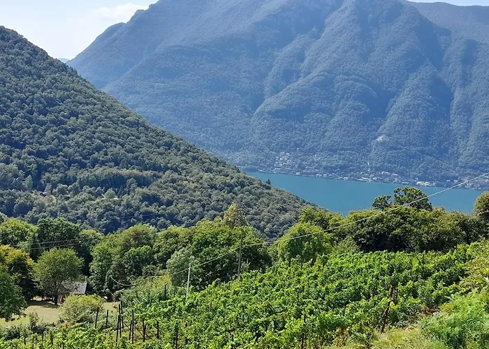 Cascina Teresina