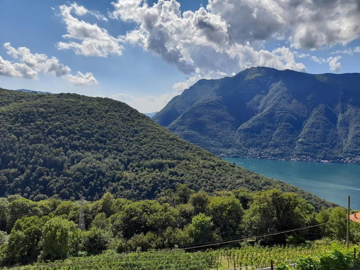 Agroturismo Cascina Teresina Veleso